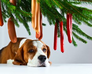 perro-con-arbol-navidad